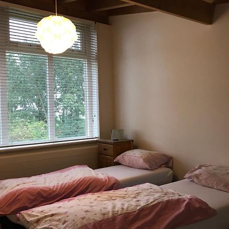 Het Atelier, Ruime Vrijstaande Vakantiewoning 200M2 Voor Maximaal 8 Personen Leende Dış mekan fotoğraf