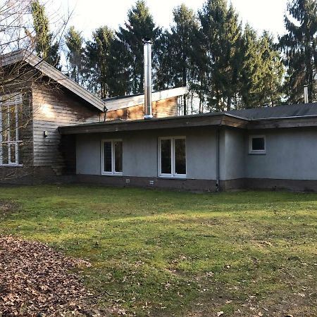 Het Atelier, Ruime Vrijstaande Vakantiewoning 200M2 Voor Maximaal 8 Personen Leende Dış mekan fotoğraf