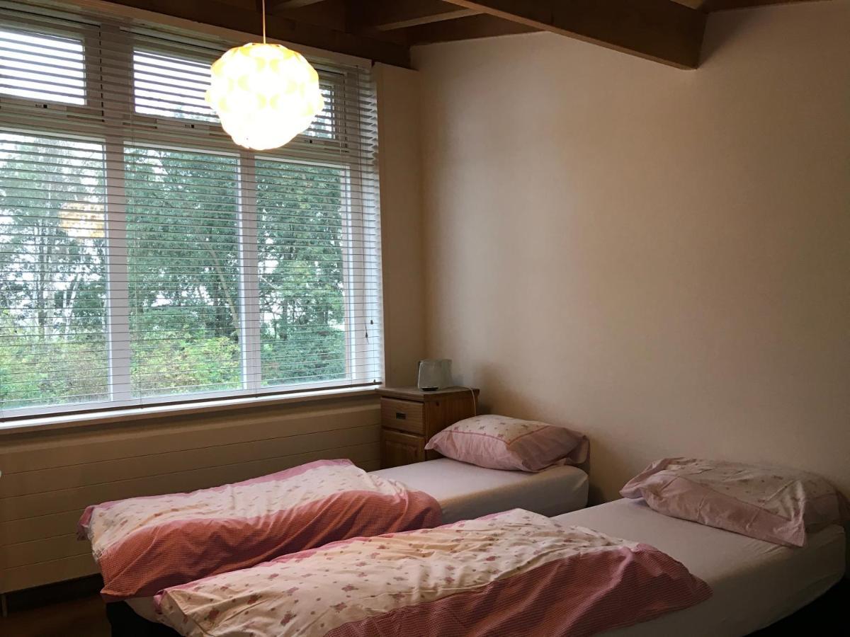 Het Atelier, Ruime Vrijstaande Vakantiewoning 200M2 Voor Maximaal 8 Personen Leende Dış mekan fotoğraf